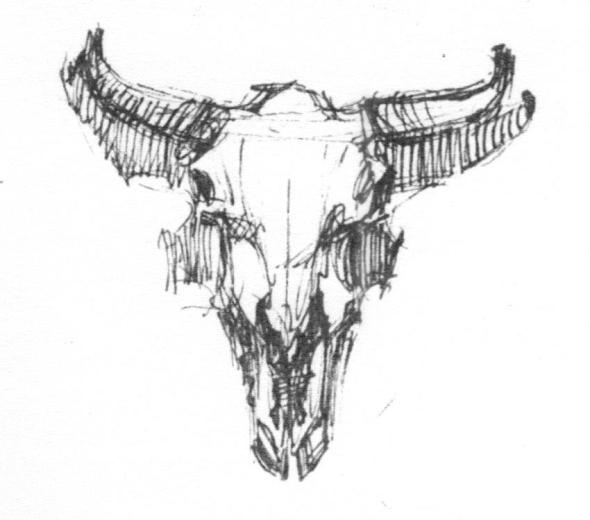 sketch of cow skull Dixon #6 001